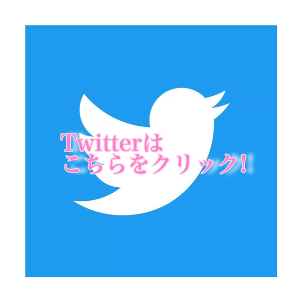 Twitterはコチラ